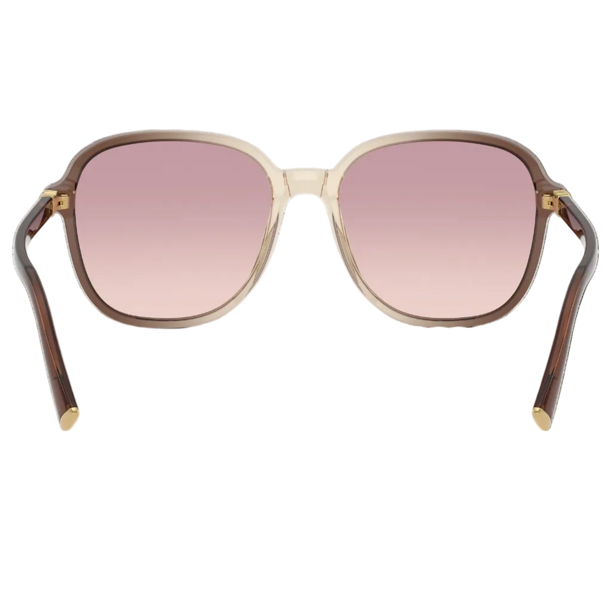 Miu Miu Regard MU B01S Women Oversized Pillow Transparent Brown / Gradient Violet Sunglasses