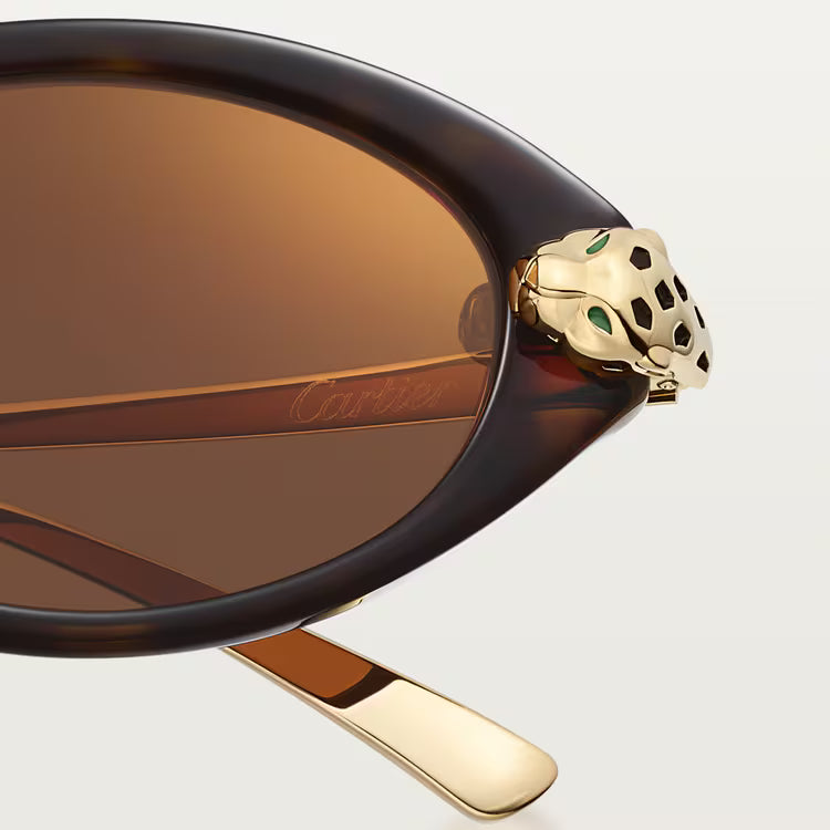 Cartier Panthère de Cat-Eye Women Tortoiseshell Brown Sunglasses