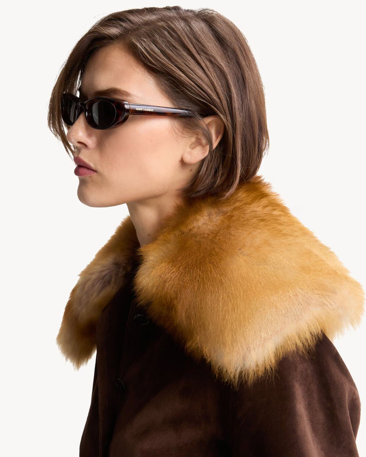 Saint Laurent Women SL 557 SHADE PLUMP Light Havana Sunglasses