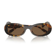 Miu Miu Women Oval Havana / Brown Sunglasses