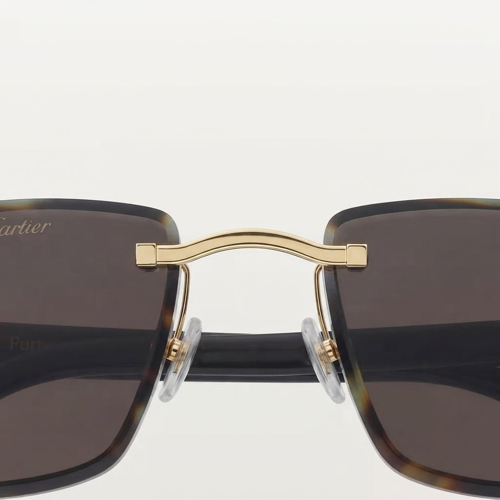 Cartier Elongated C de Motif Men Rimless Black Sunglasses