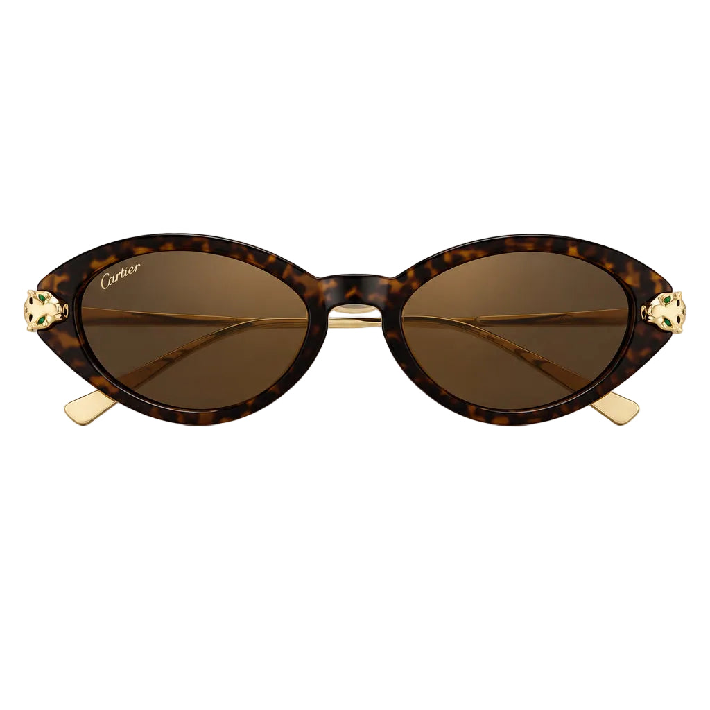 Cartier Panthère de Cat-Eye Women Havana Brown Sunglasses