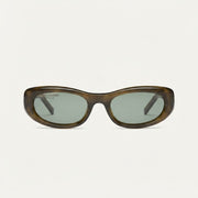 Saint Laurent Women SL 557 SHADE PLUMP Transparent Khaki Sunglasses