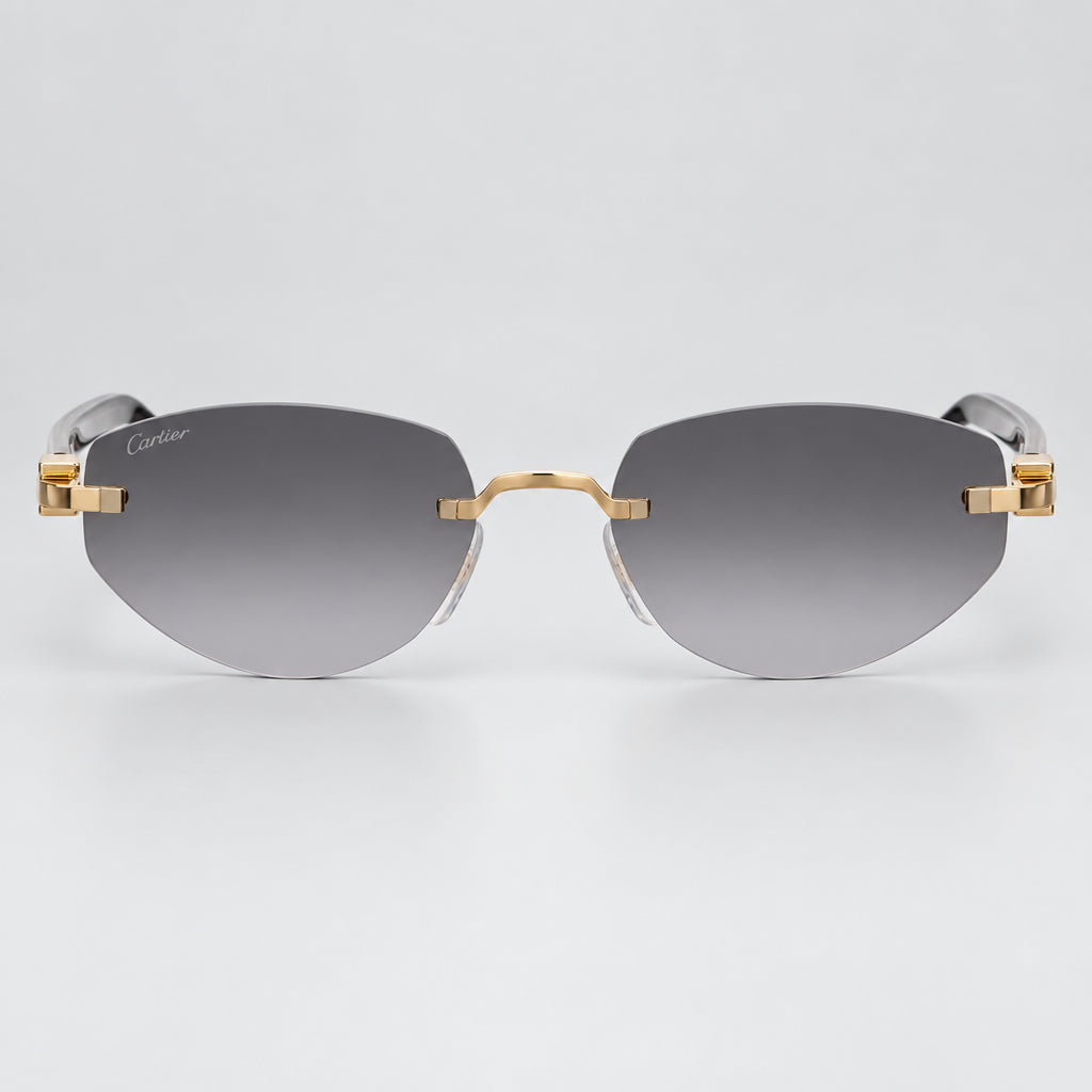 Cartier C Décor Unisex Geometric Frame Grey Gradient Sunglasses