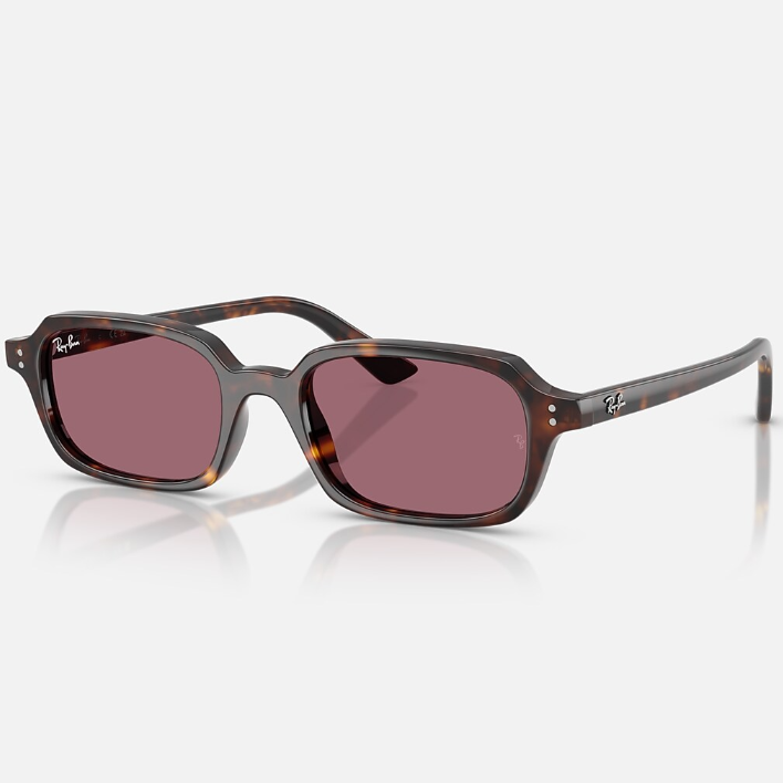 Ray Ban Men Pillow Frame Dark Brown Sunglasses