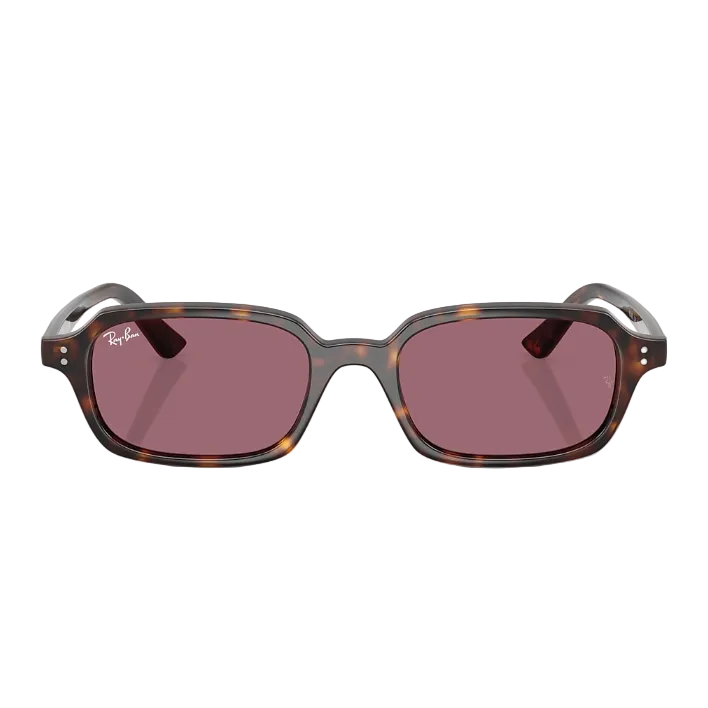 Ray Ban Men Pillow Frame Dark Brown Sunglasses