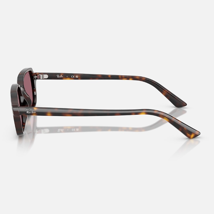 Ray Ban Men Pillow Frame Dark Brown Sunglasses