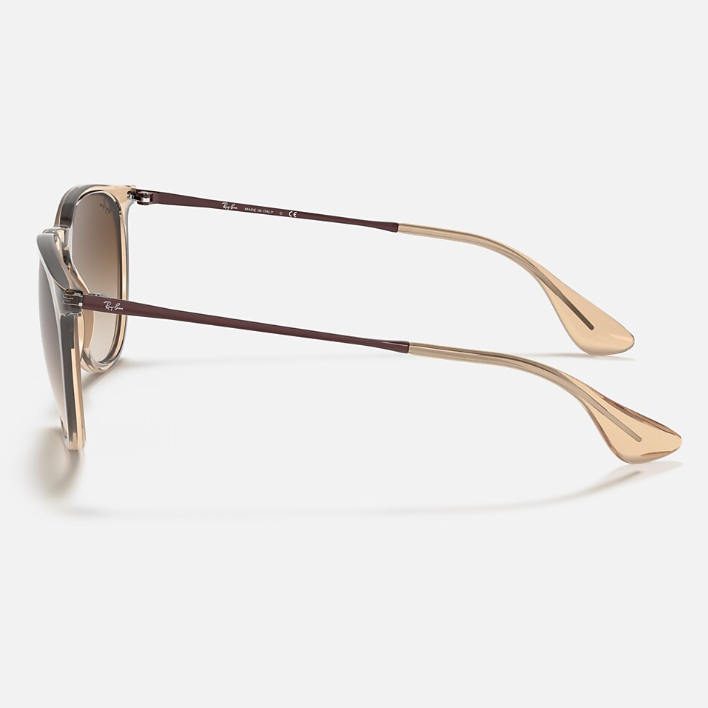 Ray Ban Women  Phantos Frame Polished Transparent Brown Sunglasses