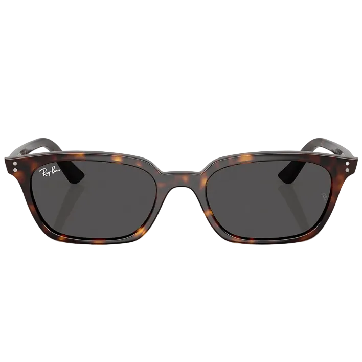 Ray Ban Men Pillow Frame Acorn Brown Sunglasses