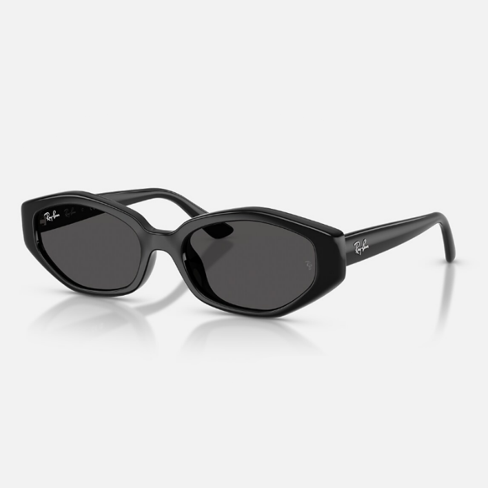 Ray Ban Men Irregular Frame Shiny Polished Black Sunglasses
