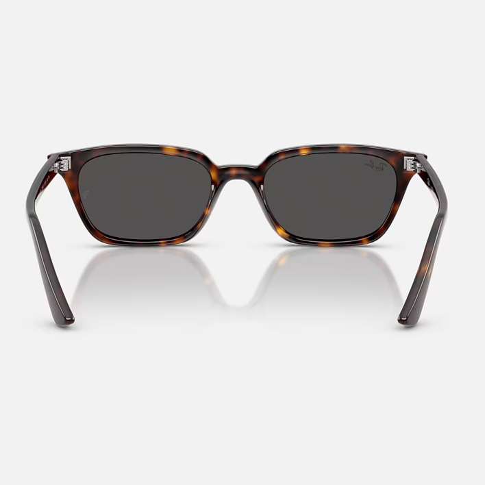 Ray Ban Men Pillow Frame Acorn Brown Sunglasses