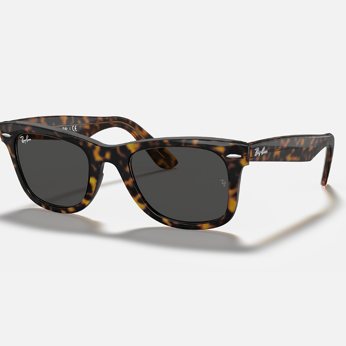 Ray Ban Men Square Frame Clove Brown Sunglasses