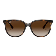 Ray Ban Men Square Frame Polished Havana Sunglasses