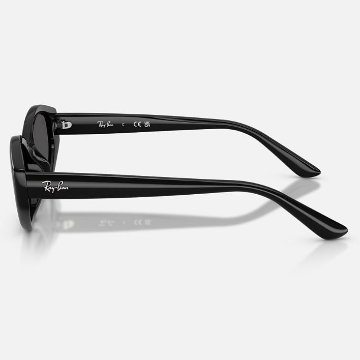 Ray Ban Men Irregular Frame Shiny Polished Black Sunglasses