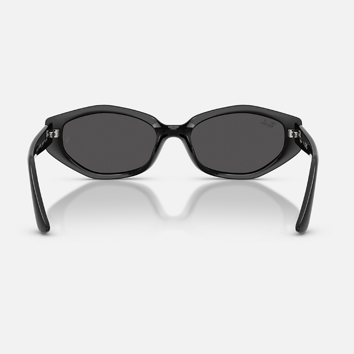 Ray Ban Men Irregular Frame Shiny Polished Black Sunglasses