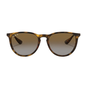 Ray Ban Women Phantos Frame Matte Havana Sunglasses
