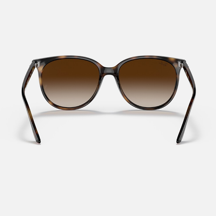 Ray Ban Men Square Frame Polished Havana Sunglasses