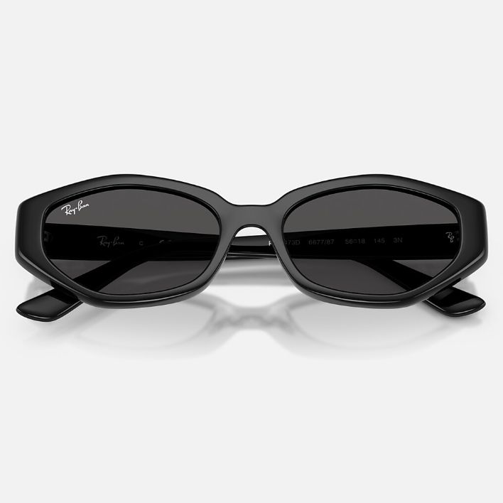 Ray Ban Men Irregular Frame Shiny Polished Black Sunglasses
