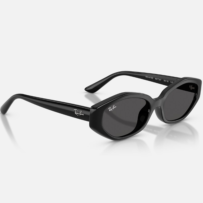 Ray Ban Men Irregular Frame Shiny Polished Black Sunglasses