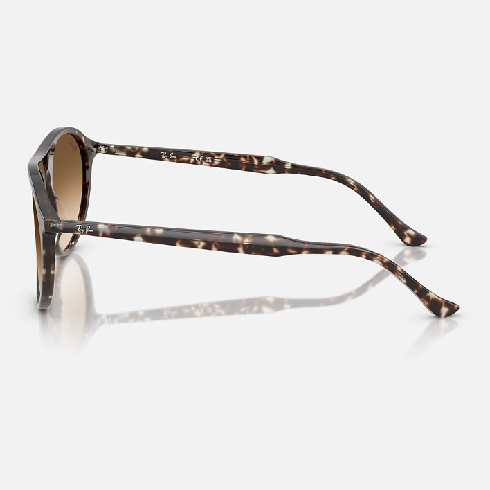 Ray Ban Women Square Polished Havana Yellow Turtle Sunglasses