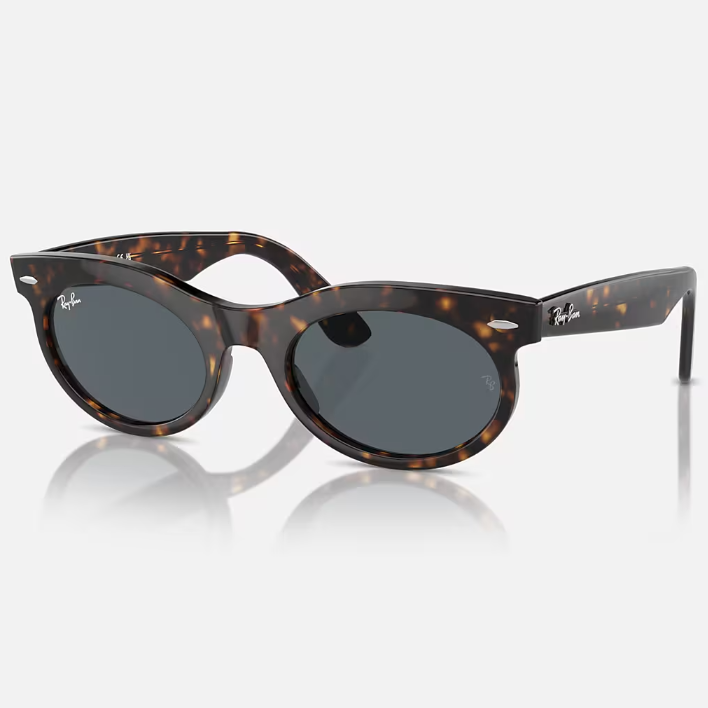 Ray Ban Men Oval Frame Dark Tortoiseshell Sunglasses