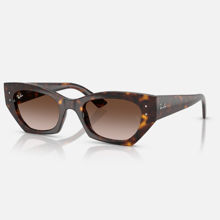 Ray Ban Men Irregular Frame Mahogany Brown Sunglasses