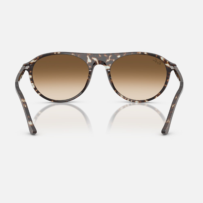 Ray Ban Women Square Polished Havana Yellow Turtle Sunglasses