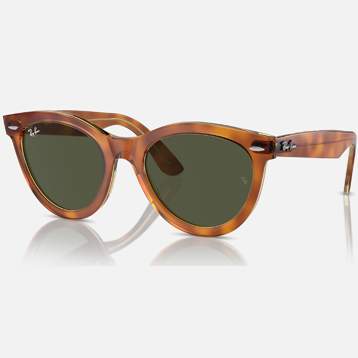 Ray Ban Men Round Frame Brown Sunglasses