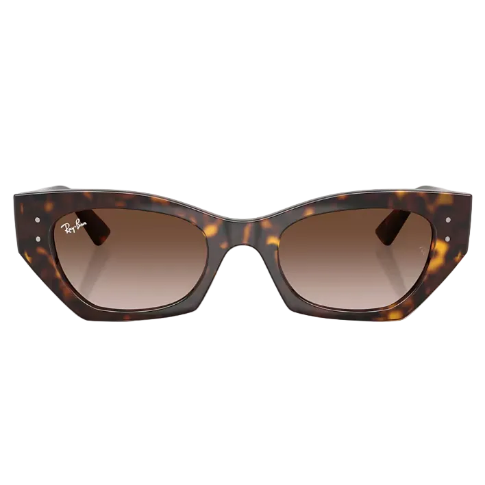 Ray Ban Men Irregular Frame Mahogany Brown Sunglasses