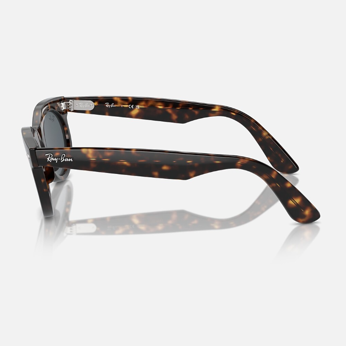 Ray Ban Men Oval Frame Dark Tortoiseshell Sunglasses