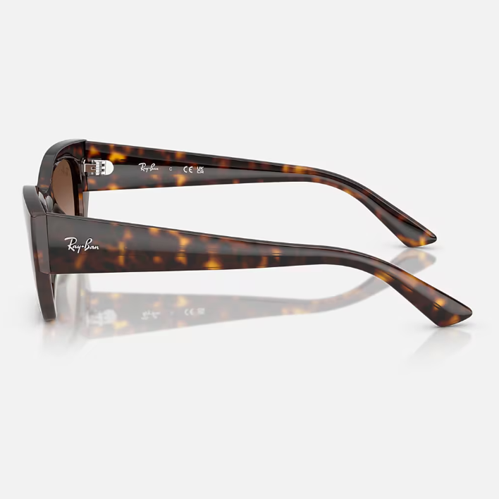Ray Ban Men Irregular Frame Mahogany Brown Sunglasses