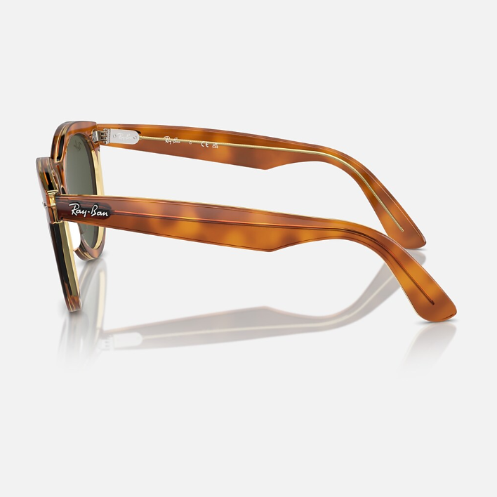 Ray Ban Men Round Frame Brown Sunglasses