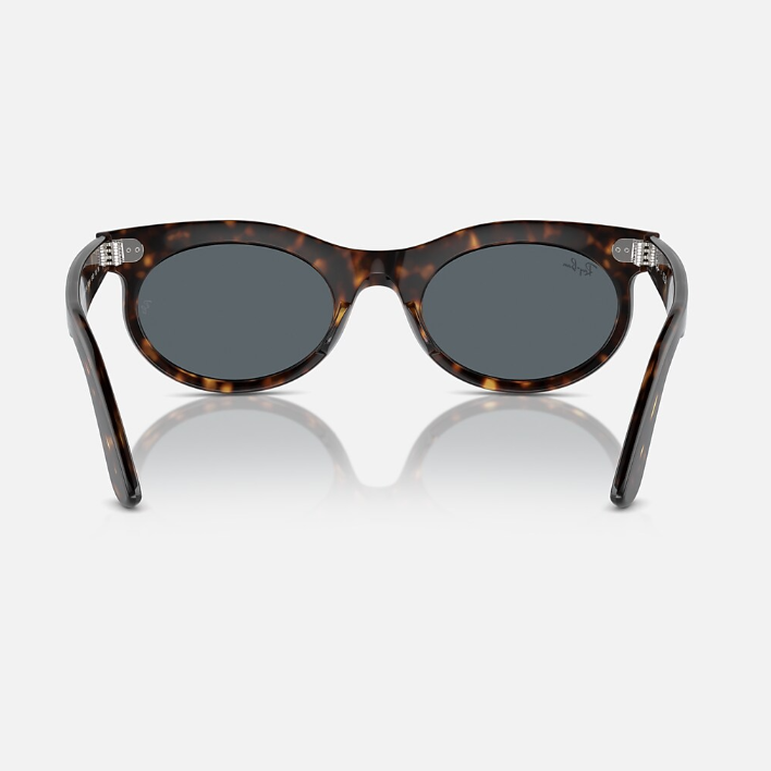 Ray Ban Men Oval Frame Dark Tortoiseshell Sunglasses