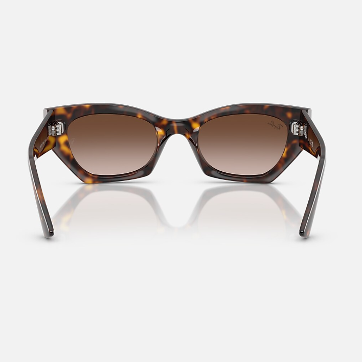 Ray Ban Men Irregular Frame Mahogany Brown Sunglasses