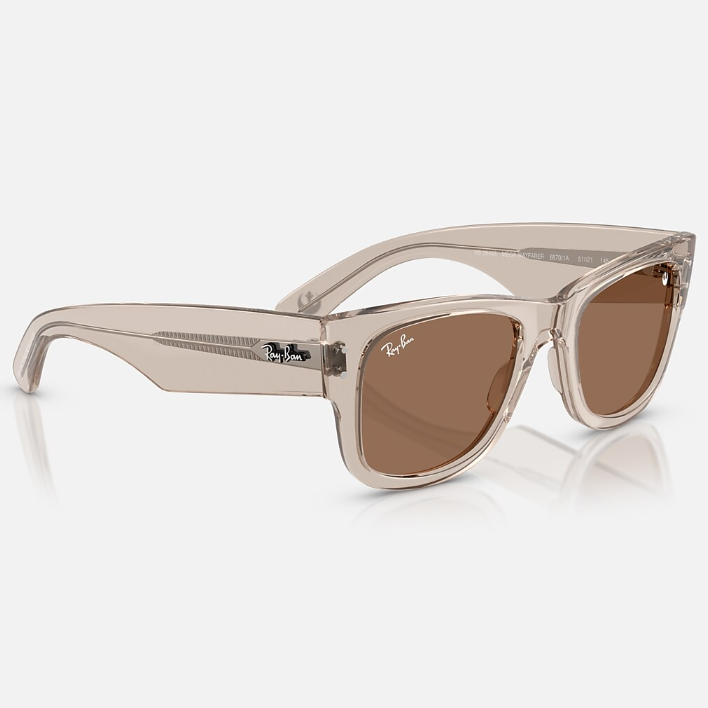 Ray Ban Women Square Frame Transparent Light Brown Sunglasses