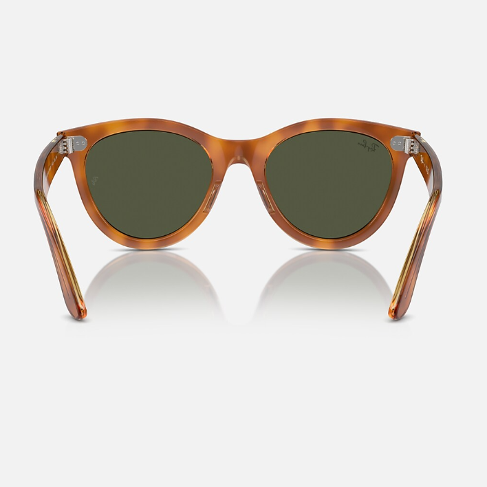Ray Ban Men Round Frame Brown Sunglasses