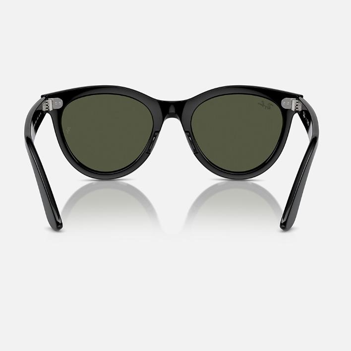 Ray Ban Men Round Faded Black Sunglasses