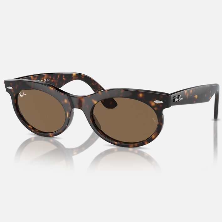 Ray Ban Men Oval Frame Dark Mocha Sunglasses