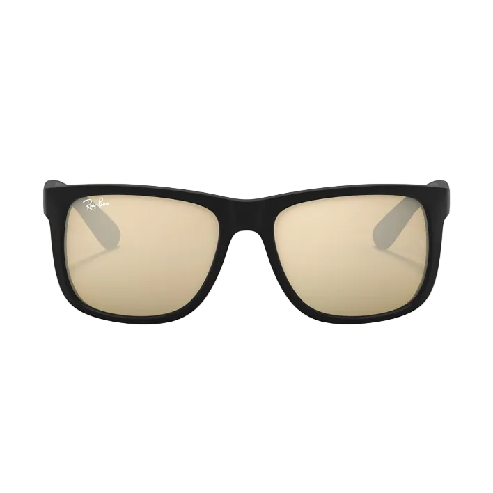 Ray Ban Men Pillow Frame Matte Rubber Black Sunglasses