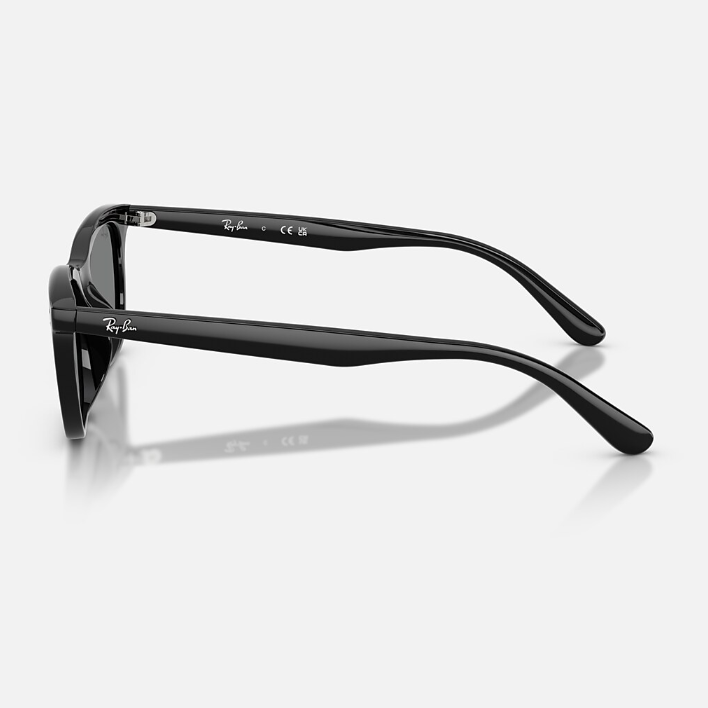 Ray Ban Men Irregular Frame Falcon Black Sunglasses