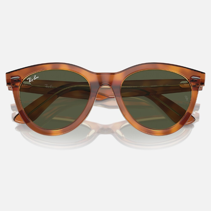 Ray Ban Men Round Frame Brown Sunglasses