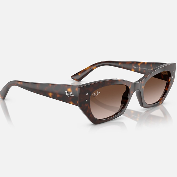 Ray Ban Men Irregular Frame Mahogany Brown Sunglasses