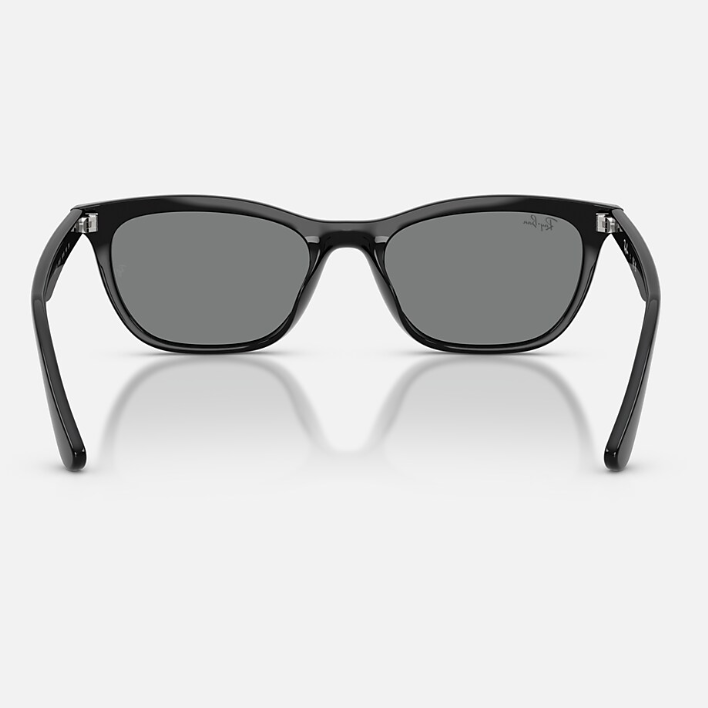 Ray Ban Men Irregular Frame Falcon Black Sunglasses