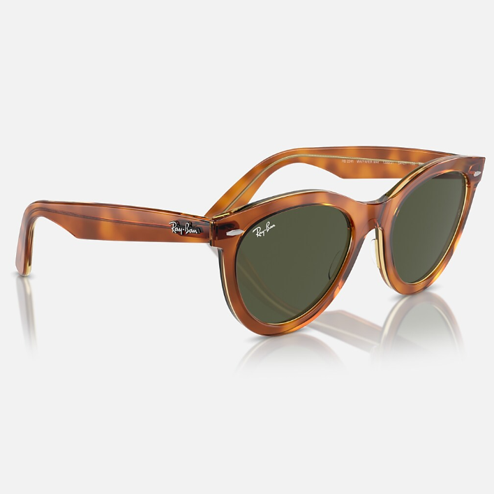 Ray Ban Men Round Frame Brown Sunglasses
