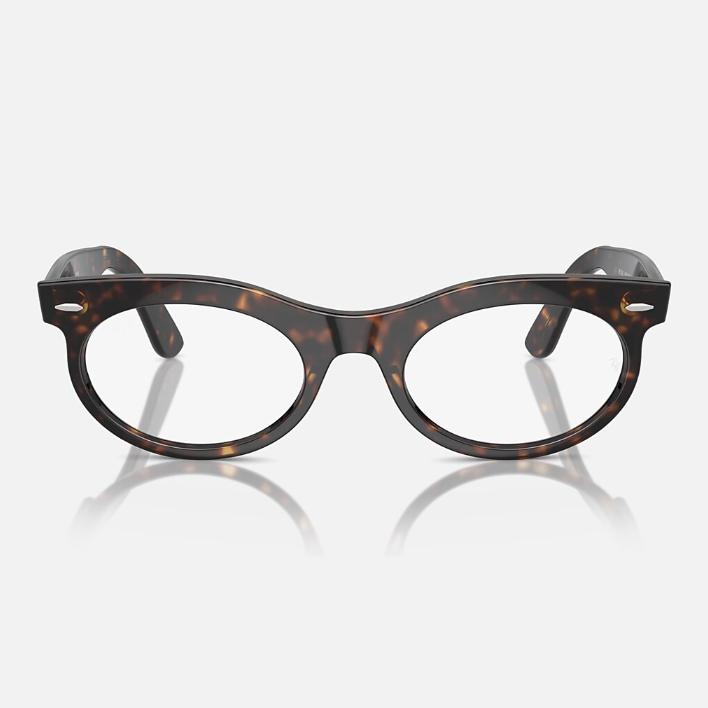 Ray Ban Men Oval Frame Dark Mocha Sunglasses