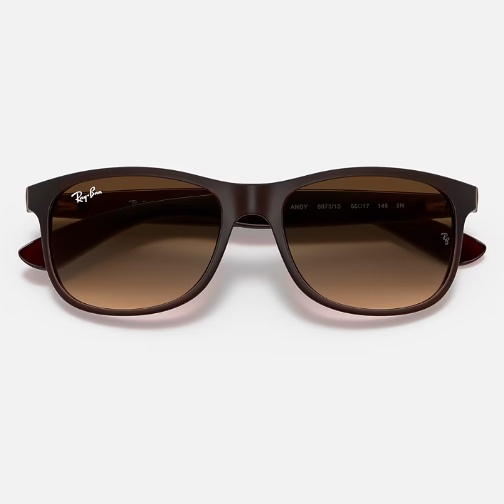 Ray Ban Women Square Frame Deep Brown Sunglasses