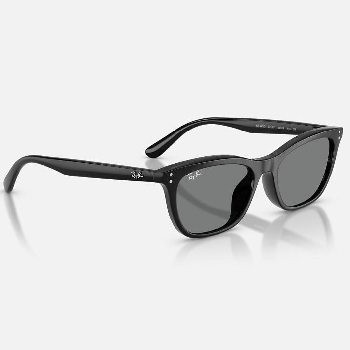 Ray Ban Men Irregular Frame Falcon Black Sunglasses