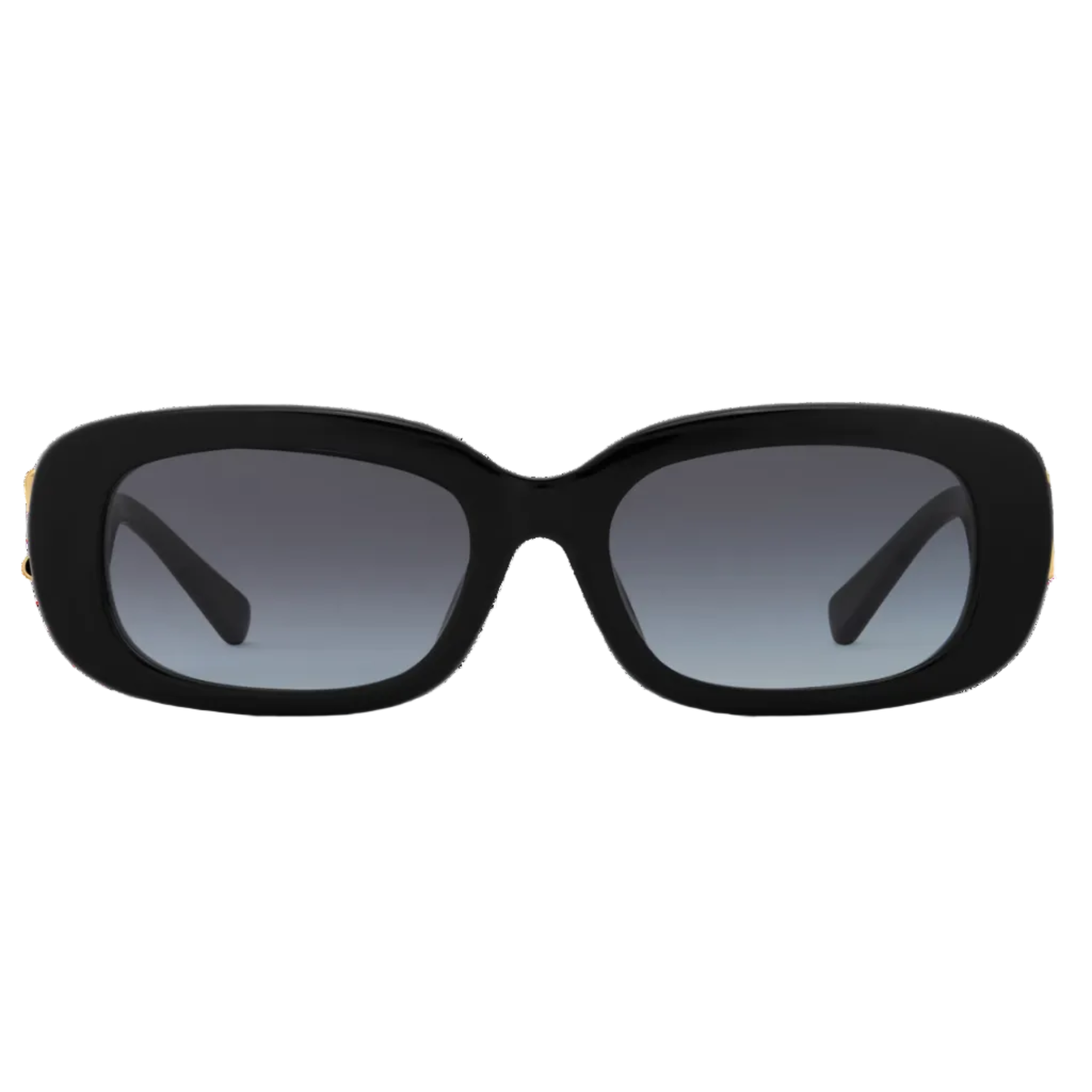 Louis Vuitton Women Oval  Frame Jet Black Sunglasses