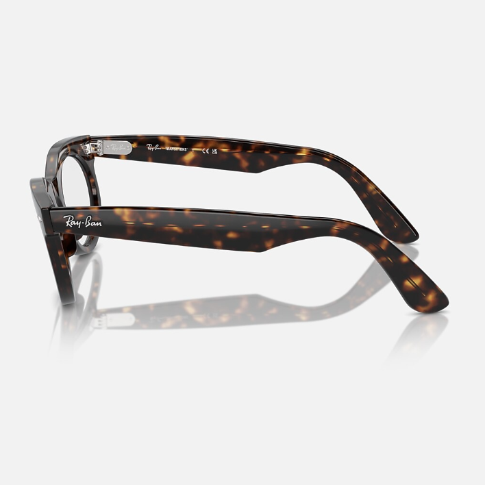 Ray Ban Men Oval Frame Dark Mocha Sunglasses