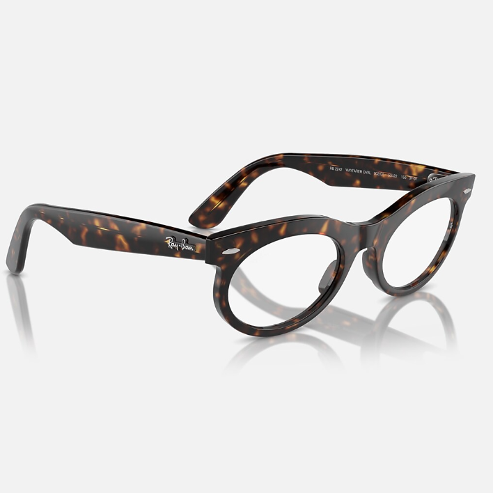 Ray Ban Men Oval Frame Dark Mocha Sunglasses